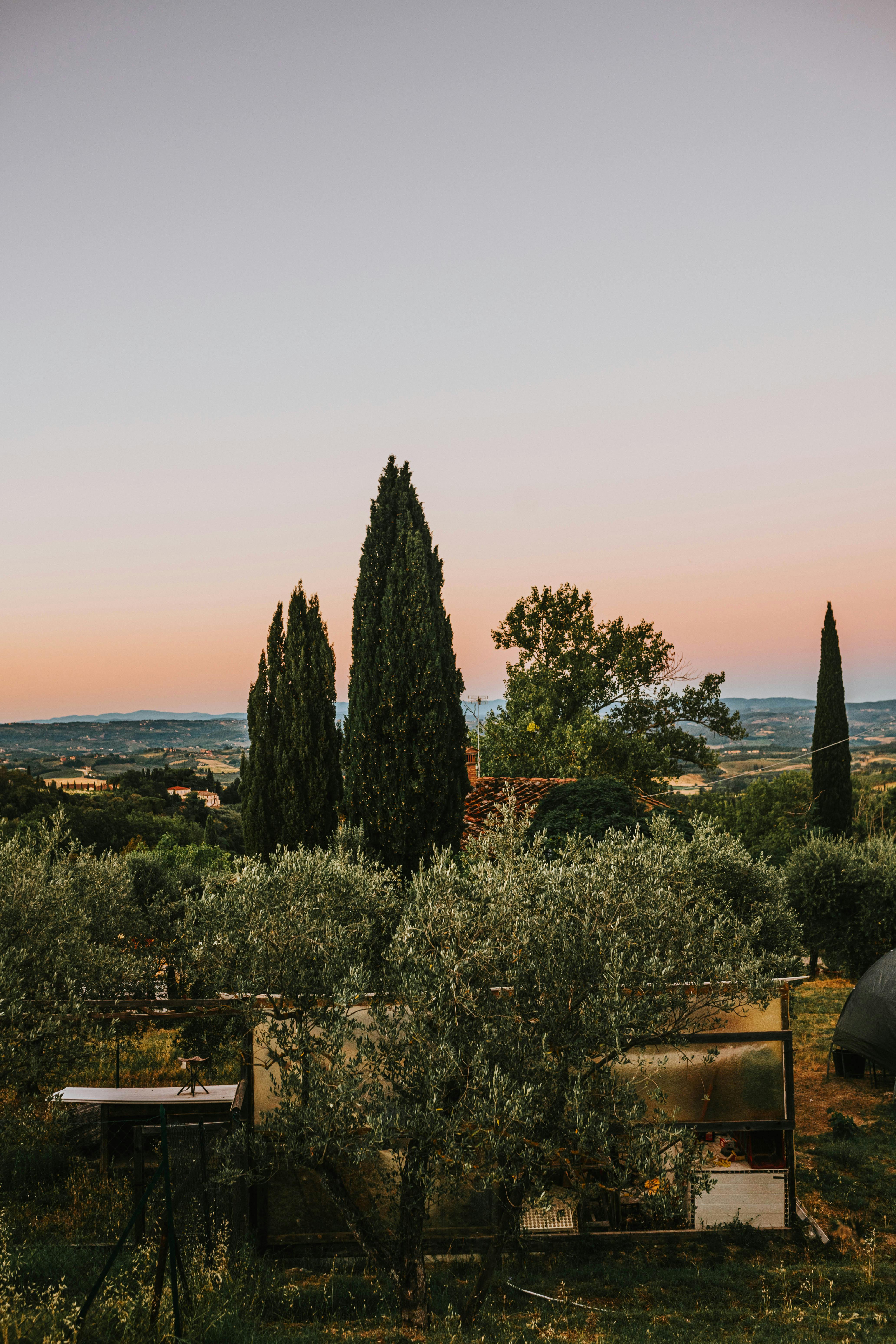 Serate di osservazione delle stelle